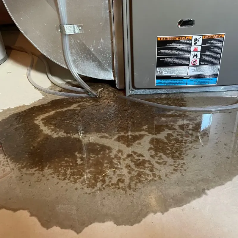 Pipe Burst and Leak Restoration in Cave Spring, VA